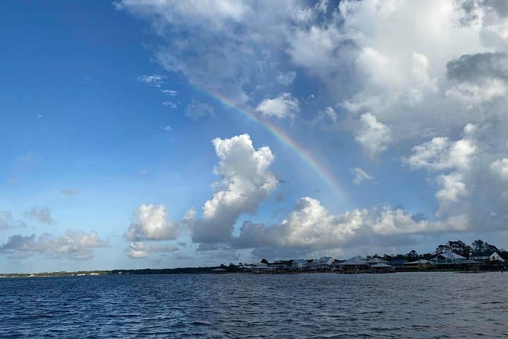 Orange Beach Dolphin and Nature Eco Tour — 2-Hour Pontoon Wildlife Cruise photo 4