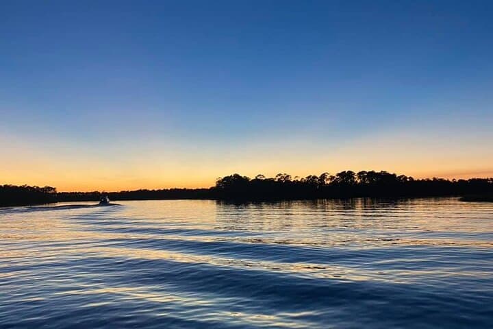 Orange Beach Dolphin and Nature Sunset Cruise: Shallow-Creek Sunset Excursion photo 3