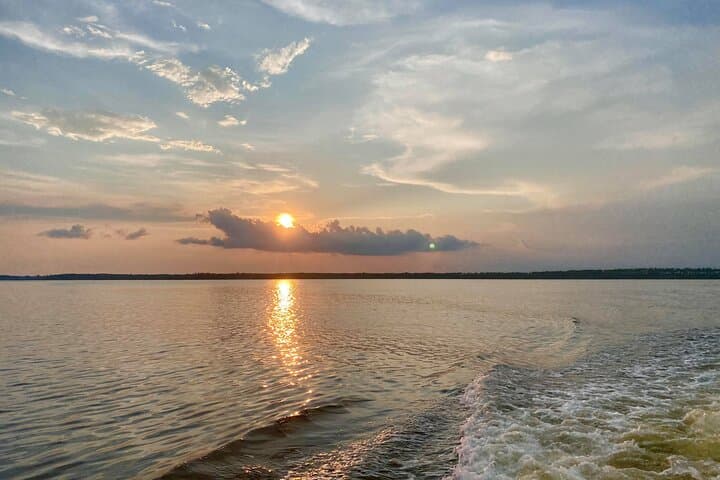 Orange Beach Dolphin and Nature Sunset Cruise: Shallow-Creek Sunset Excursion photo 4