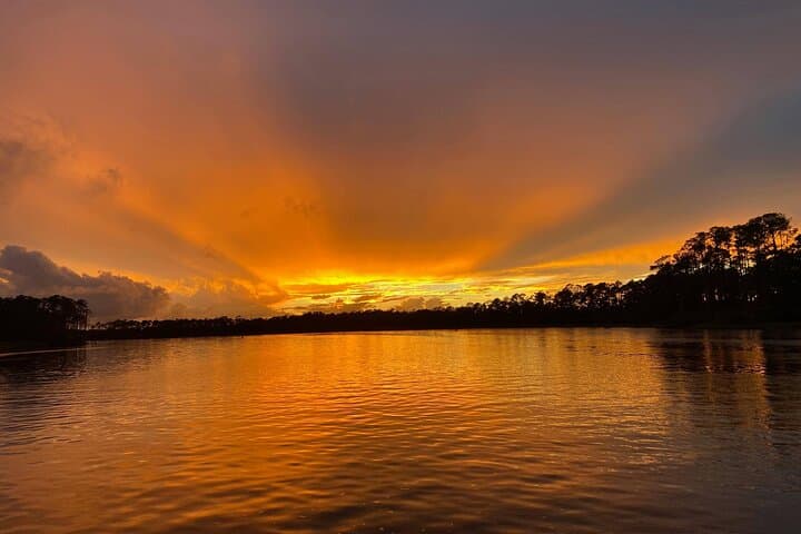 Orange Beach Dolphin and Nature Sunset Cruise: Shallow-Creek Sunset Excursion photo 5