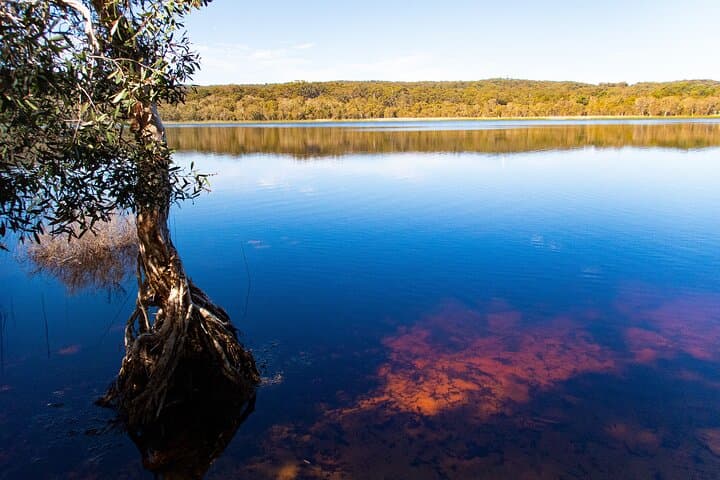 North Stradbroke Island Private Day Tour: Whales, Beaches & Brown Lake photo 3