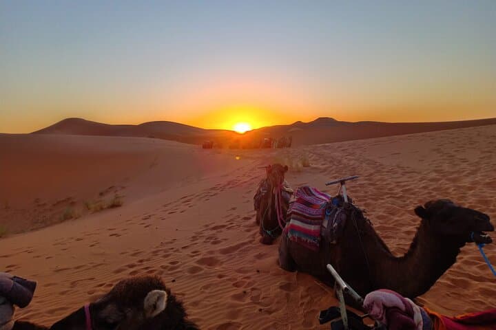 Marrakesh to Fez: 3-Day Merzouga Desert Camping and Camel Trek photo 6