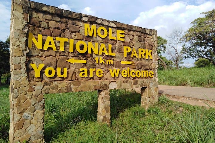 3-Day Mole National Park Elephant Safari from Tamale — Walking Safaris, Canoe & Village Visits photo 4