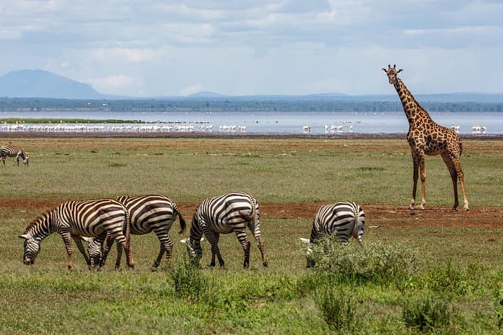 3-Day Tarangire, Ngorongoro & Lake Manyara Safari from Arusha photo 1