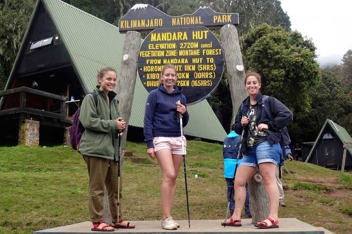 Mandara Hut Day Hike on Mount Kilimanjaro — Marangu Route Beginner Trek photo 4