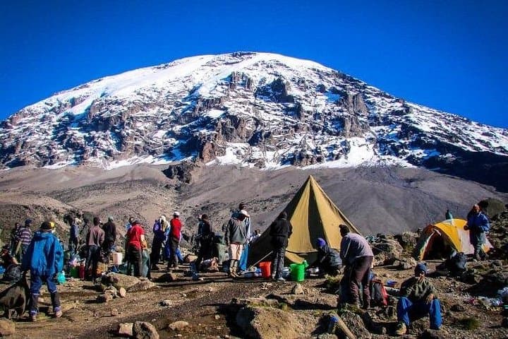 9-Day Kilimanjaro Machame Route: Whisky Route Hike & Safari to Uhuru Peak photo 4