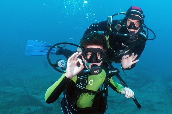 Try Scuba Diving with Turtles in South Tenerife — 2-Hour Boat Intro Dive photo 2