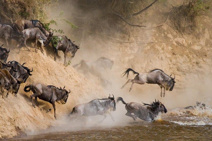 6-Day Wildebeest Migration Safari: Serengeti, Ngorongoro & Tarangire Camping photo 2