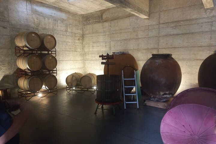 Algarve Coast & Wine Tasting Private Van Tour from Albufeira photo 6
