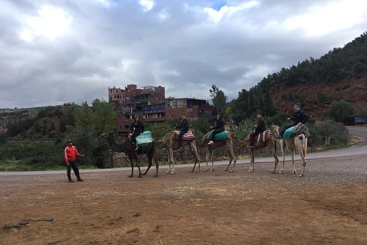10-Day Best of Morocco: Imperial Cities, Sahara Dunes & Atlas Pass photo 2