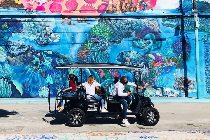 Wynwood Graffiti Golf Cart Tour: Explore Miami’s Bold Street Art in One Hour photo 3