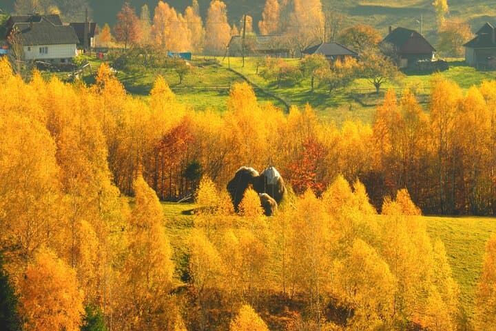 Piatra Craiului Villages Day Trip from Brașov: Hike, Bat Cave & Cheese Tasting photo 1
