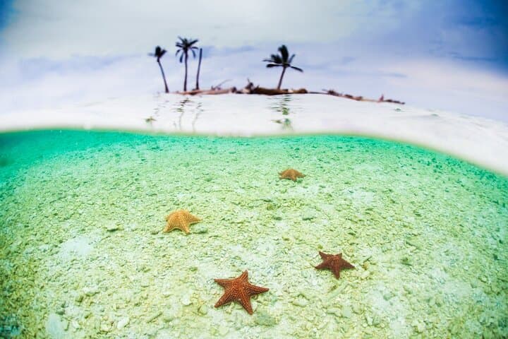 3-Day San Blas Islands Beach & Jungle Tour — Snorkel, Waterfall Hike & Island Cabana