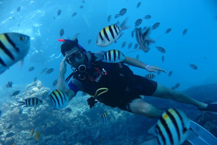 Introductory Red Sea Diving in Hurghada — 2-Stop Beginner Boat Dive with Lunch photo 5