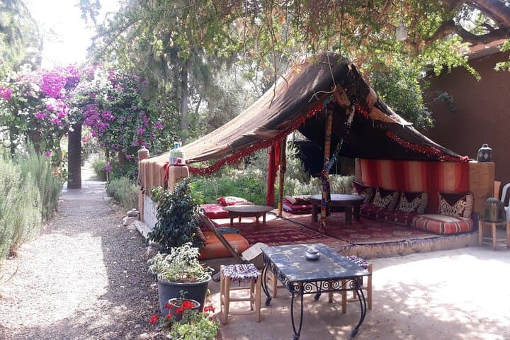 Paradise Valley Day Trip from Agadir — Imouzzer Pools, Waterfalls & Lunch photo 2