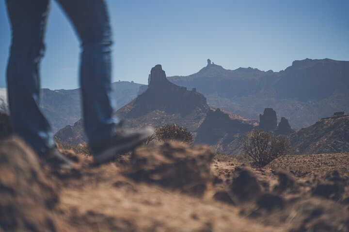Gran Canaria VIP Private Highlights Tour — Roque Nublo, Tejeda & Pico de las Nieves photo 6