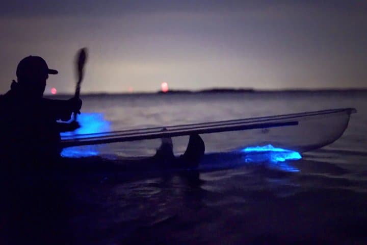 Clear Kayak Bioluminescence Tour at Cocoa Beach — Merritt Island Bioluminescence photo 1
