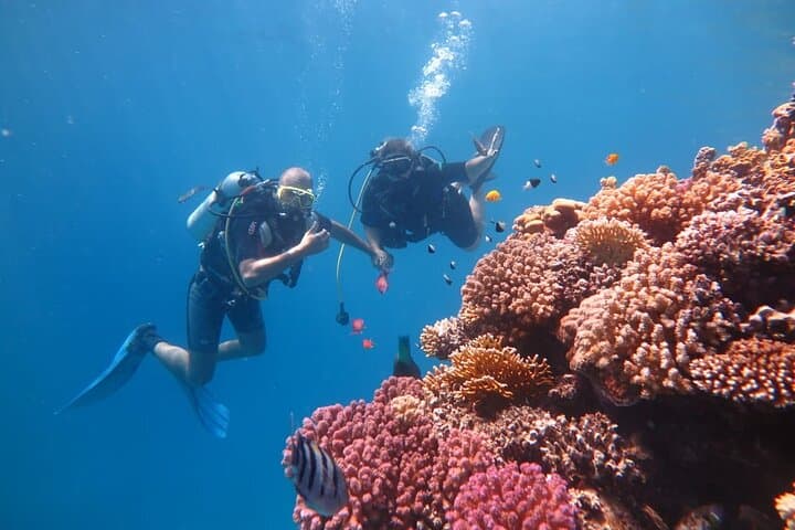 Intro Scuba Diving in Hurghada: Beginner Dives on the Red Sea Reefs photo 6