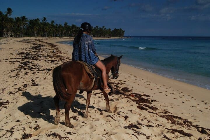 Punta Cana Beach Horseback Riding — 2-Hour Coastal Trail Ride in the Dominican Republic photo 5
