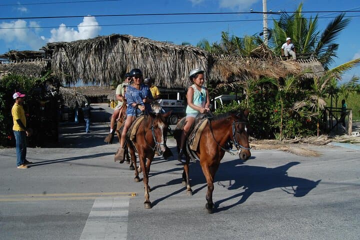 Punta Cana Beach Horseback Riding — 2-Hour Coastal Trail Ride in the Dominican Republic photo 3