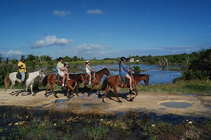 Punta Cana Beach Horseback Riding — 2-Hour Coastal Trail Ride in the Dominican Republic photo 6