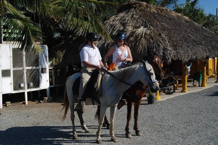 Punta Cana Beach Horseback Riding — 2-Hour Coastal Trail Ride in the Dominican Republic photo 2
