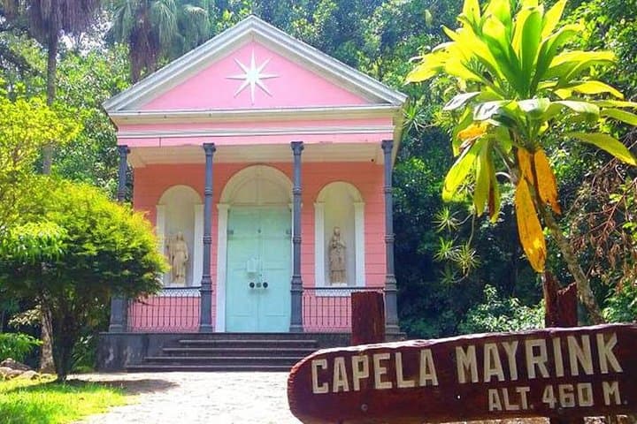 Tijuca National Park Eco Hiking Tour: Forest Trails, Waterfalls & Pico Views photo 3