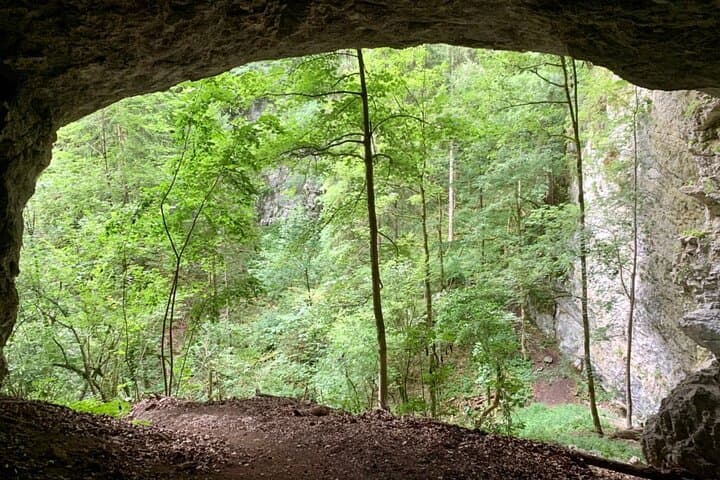 Discovery Trail: Private Half-Day Hike from Bled into Triglav National Park photo 5