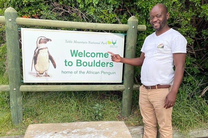 Cape of Good Hope & Boulders Beach Penguins — Private Full‑Day Tour from Cape Town photo 5