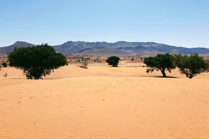 2-Day Sahara Desert Trip From Agadir: Legzira Arches, El Borj Dunes & Tighmert Oasis photo 5