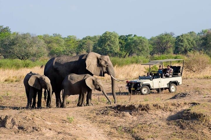 Hwange Day Trip Safari from Victoria Falls — Big Five Game Drives & Lunch photo 3
