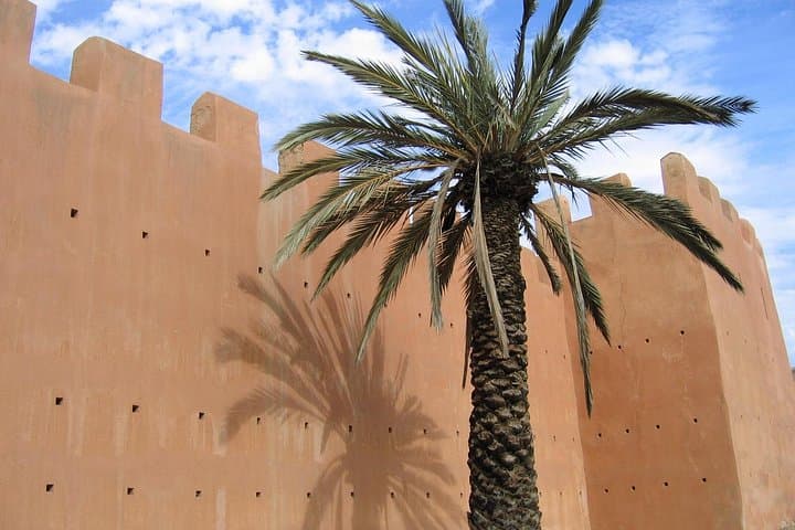 Taroudant and Tiout Day Trip from Agadir — Argan Goats, Ancient Walls & Local Lunch photo 3