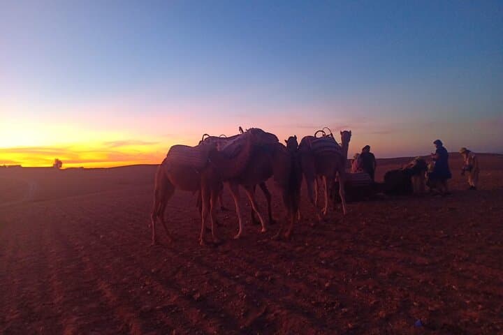 Camel Safari in Agafay Desert: Half-Day Camel Ride and Moroccan Lunch from Marrakech photo 4