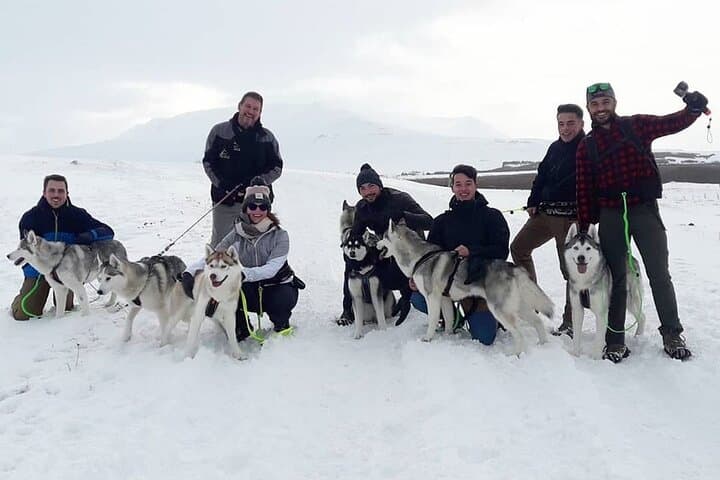 Hiking with Huskies Around Akureyri: Private 2-Hour Countryside Walk photo 4