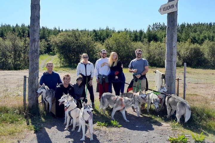 Hiking with Huskies Around Akureyri: Private 2-Hour Countryside Walk photo 2