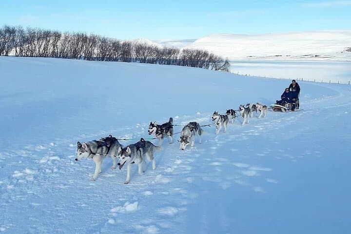 Husky Dog Sledding near Akureyri: Fjord-Side Winter Sled Tours photo 6