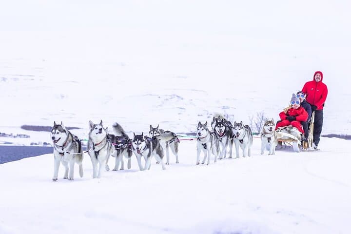 Husky Dog Sledding near Akureyri: Fjord-Side Winter Sled Tours