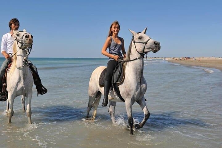 Private Transfer and Horse Safari in Sharm El Sheikh — Desert Ride from Your Hotel