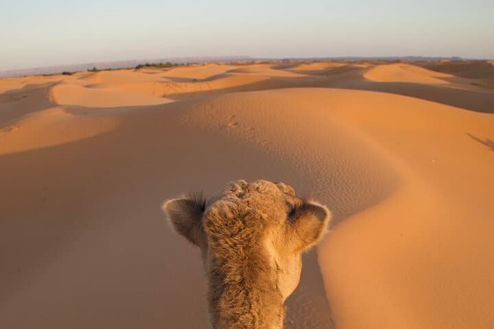 3-Day Private Desert Tour from Marrakech to Erg Chebbi — Camel Ride & Sahara Camp photo 2