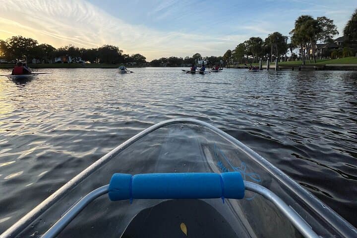 Clear Kayak Manatee Tour — Paddle Tarpon Springs' Anclote River photo 2