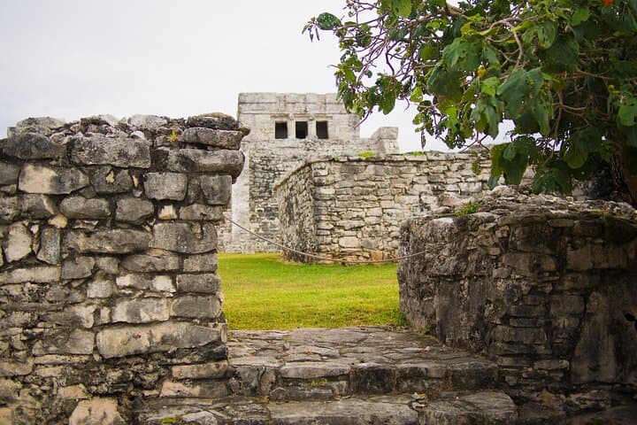 Private Tulum Full-Day Snorkel, Cenote & Monkey Reserve Adventure photo 2