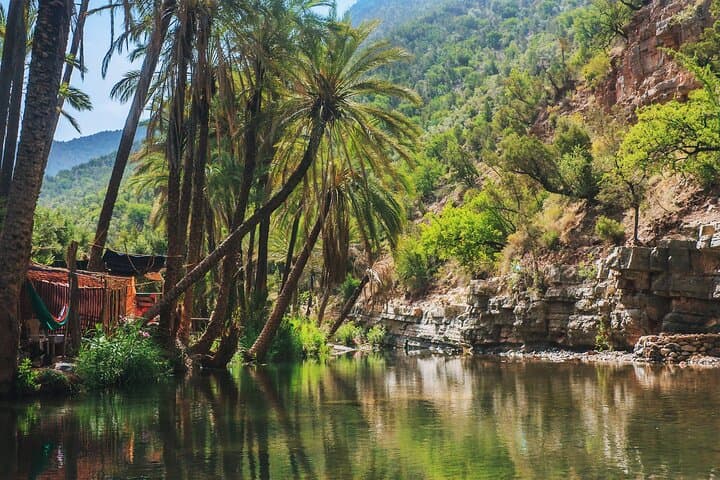 Paradise Valley Swimming Trip from Agadir — Atlas Pools & Canyon Swim