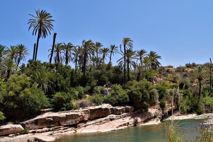 Paradise Valley Swimming Trip from Agadir — Atlas Pools & Canyon Swim photo 3
