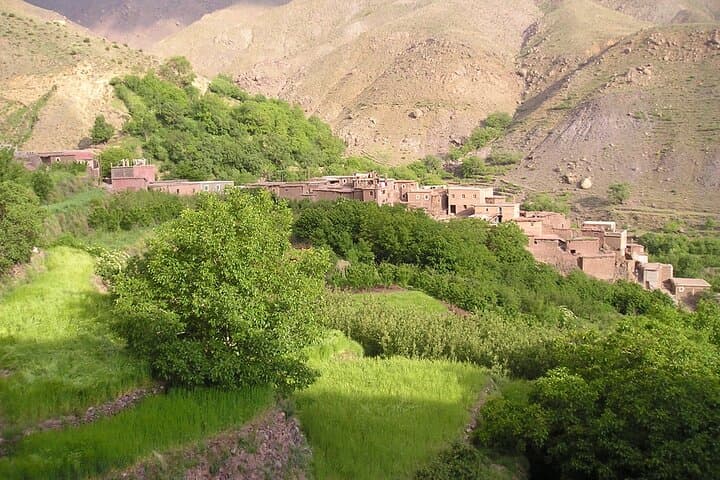 Paradise Valley Swimming Trip from Agadir — Atlas Pools & Canyon Swim photo 5
