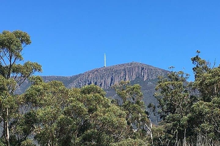 Mt Wellington Summit Descent & Rainforest Rainforest Bike Tour — Hobart Adventure photo 3