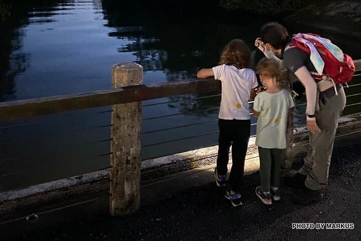 Nocturnal Secrets: Pasir Ris Mangrove Night Walk in Singapore