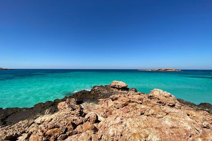 Dimaniyat Islands Snorkeling & Dolphin Watching — Half-Day Marine Safari from Muscat photo 3