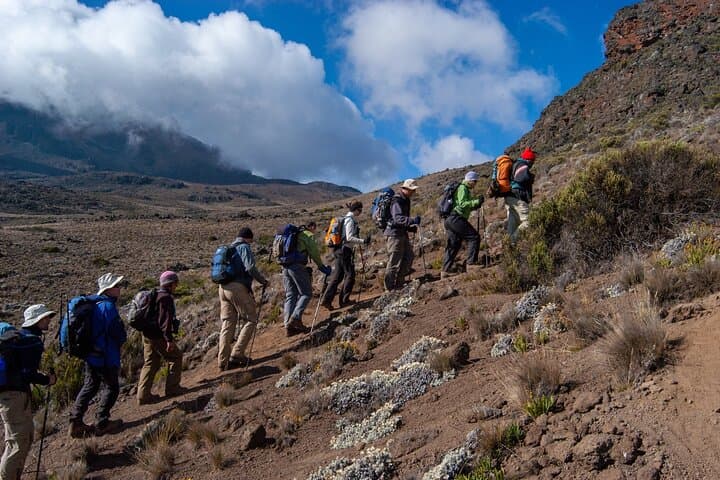 7-Day Machame Route Mt Kilimanjaro Trekking Guide photo 5