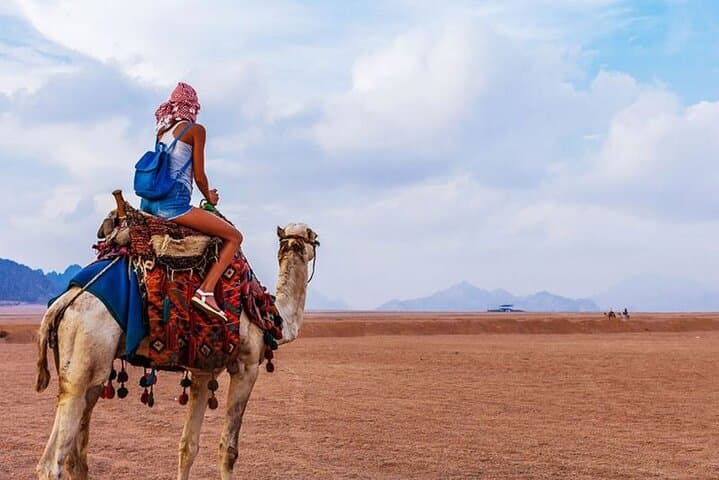 Sinai Desert Quad Biking: Sunrise & Sunset ATV Tours from Sharm El Sheikh photo 3