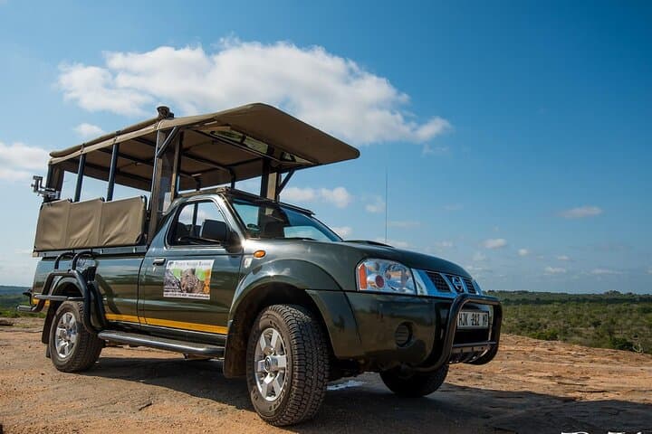 Dawn Drive in Kruger: Private Morning Safari from Hazyview photo 3